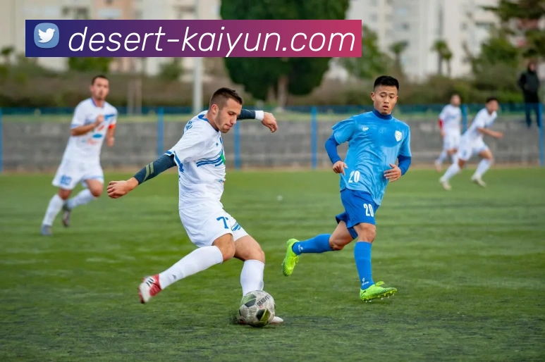 多媒体互动体验