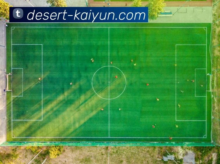 数据防护可视化